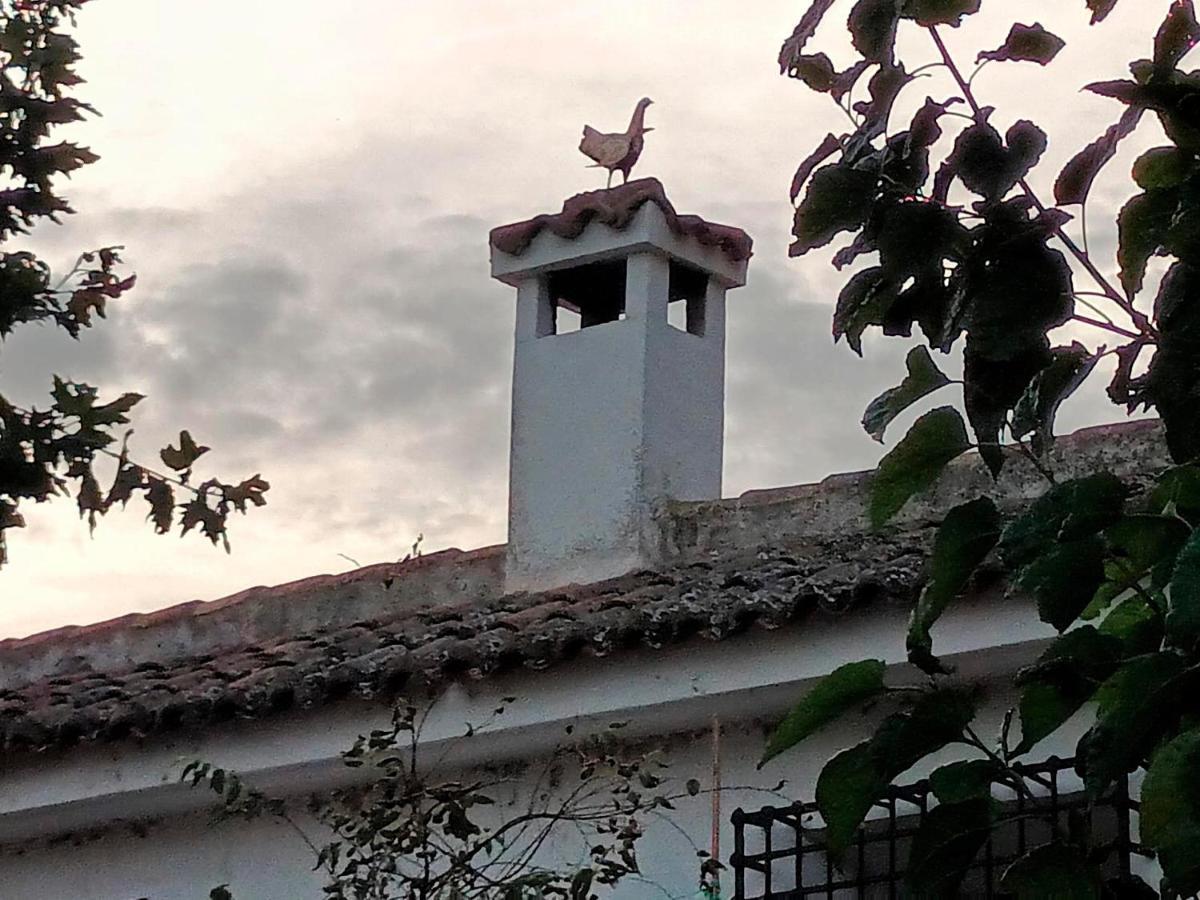 Cigarral De La Peraleda Toledo Daire Dış mekan fotoğraf